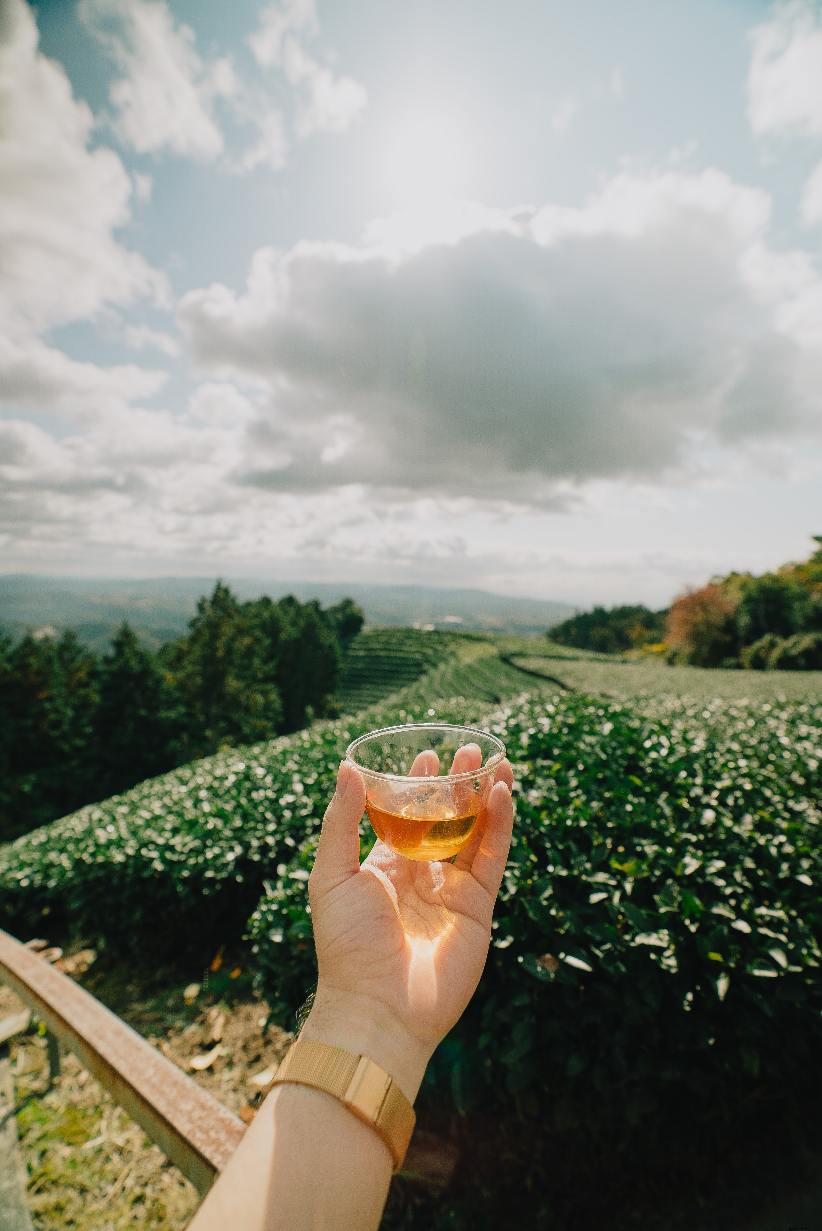 Un verre de dégustation pour honorer ce domaine viticole