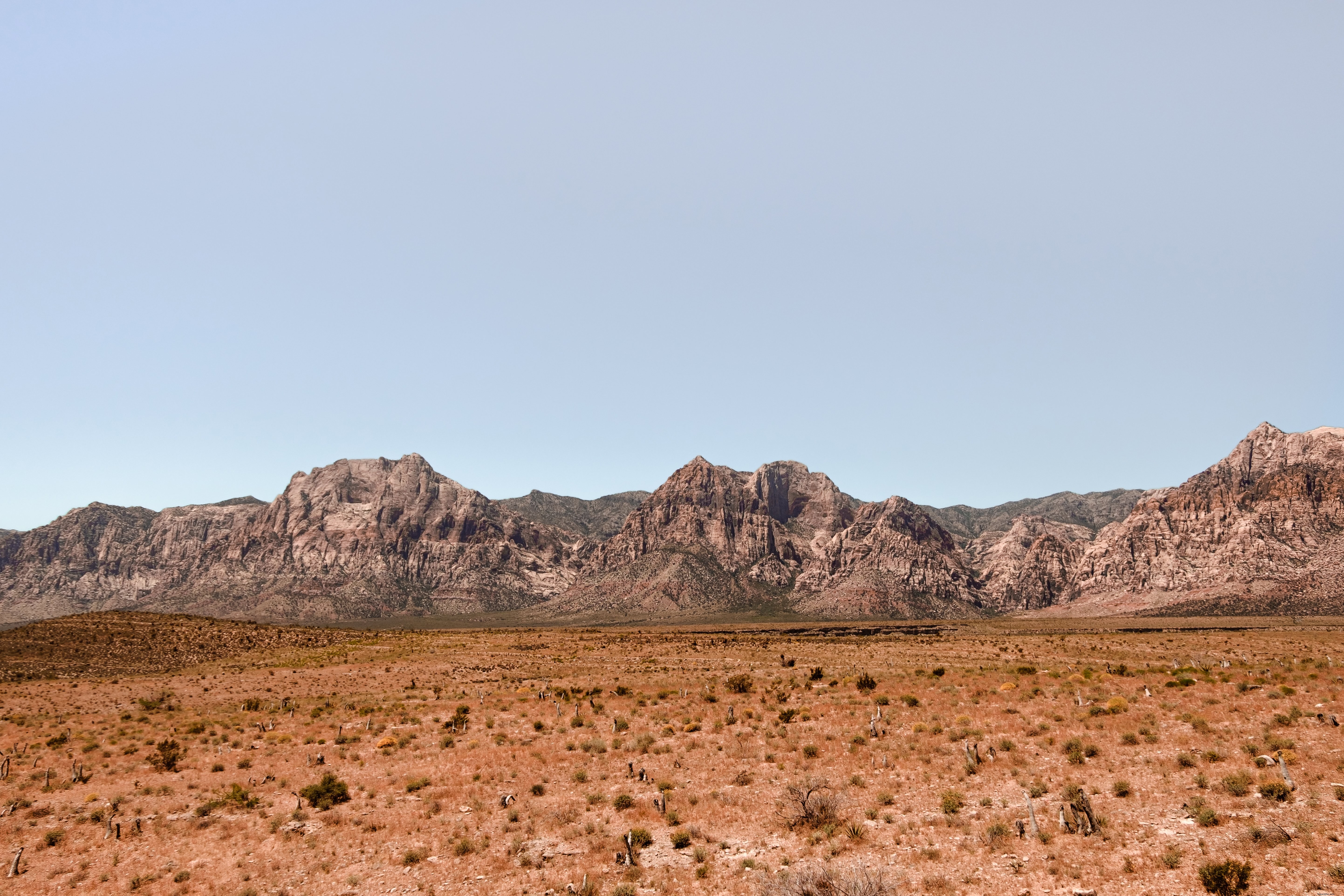 Paysage d herbe brune avec les montagnes Rocheuses