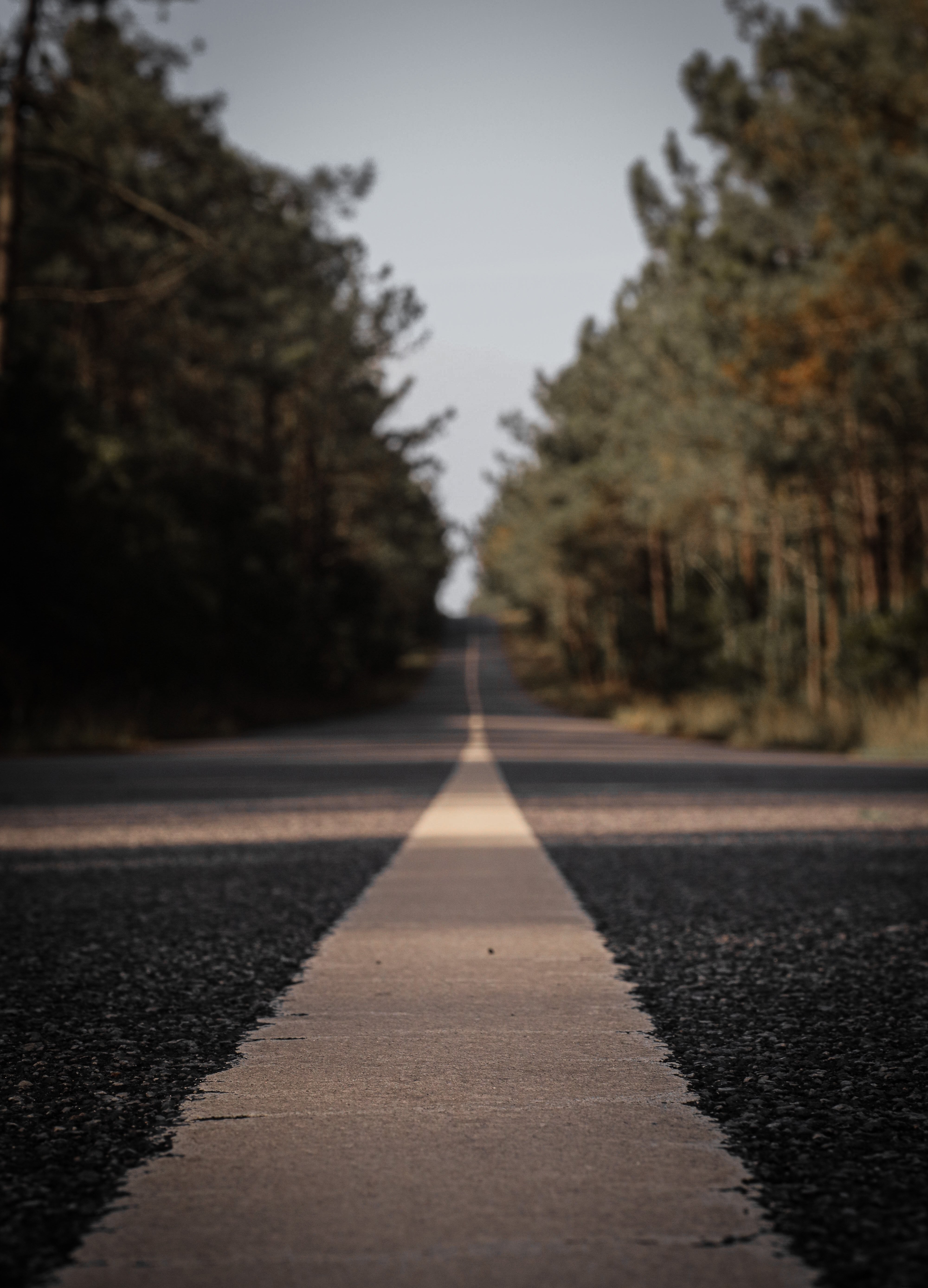 Découvrez la bande blanche sur cette photo d’une route pavée