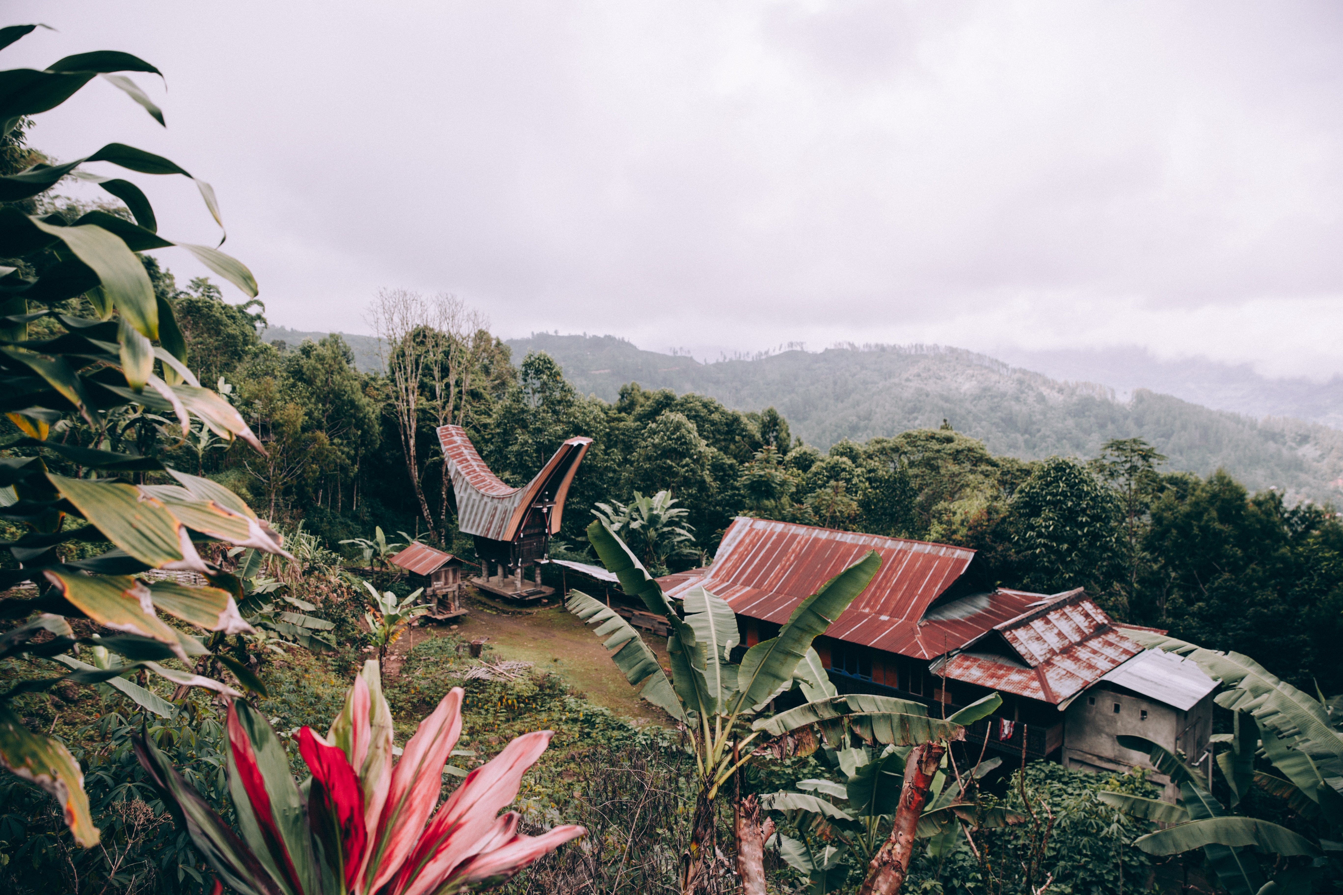 Des fleurs tropicales et des palmiers encadrent la photo du temple indonésien
