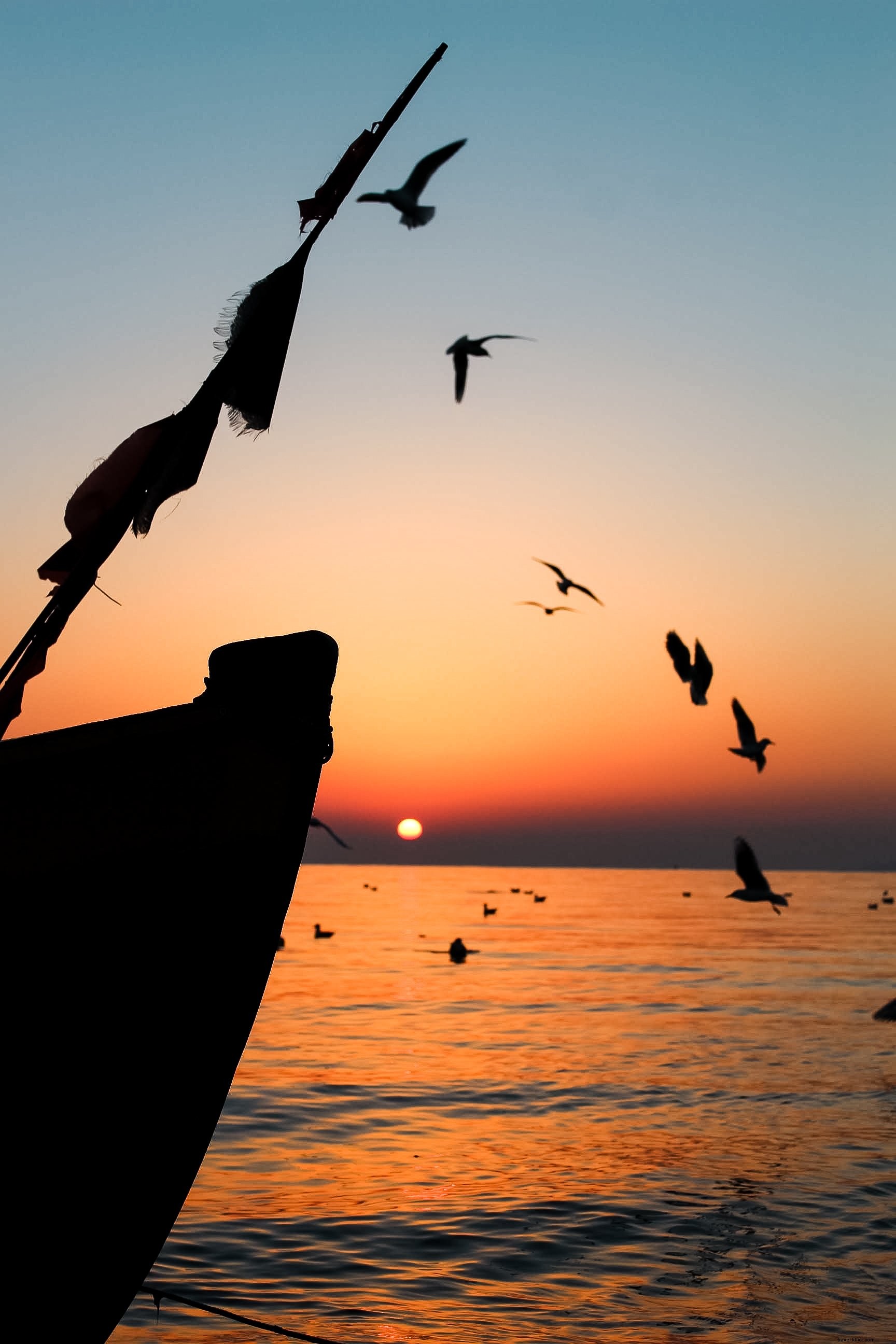 Photo au lever du soleil : oiseaux et bateaux