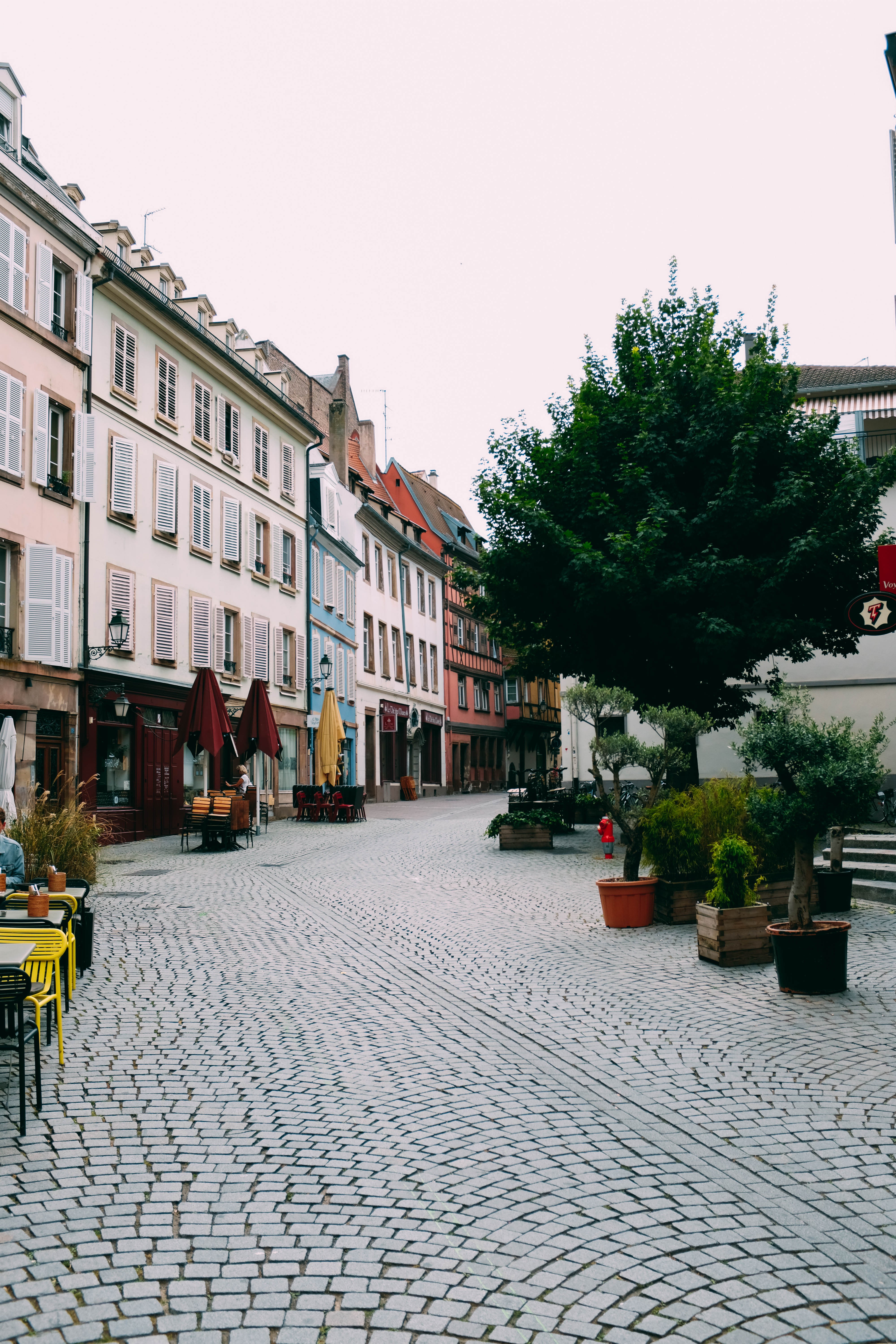 Tables de café et rangée d’arbres sur une rue pavée