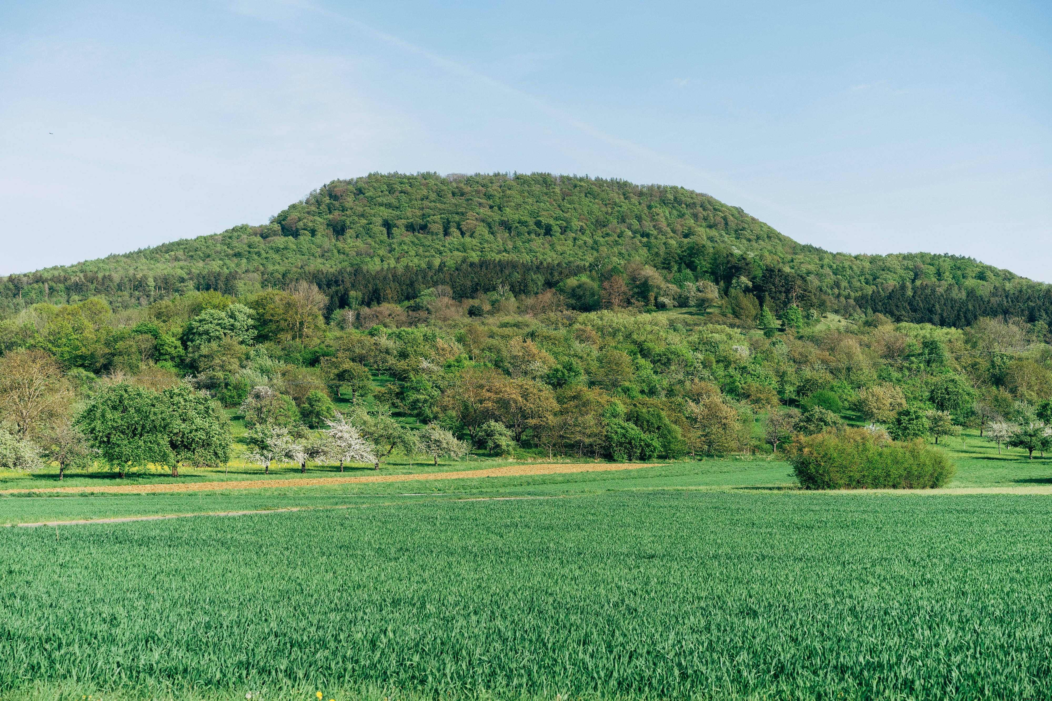 Photo d un paysage forestier de montagne