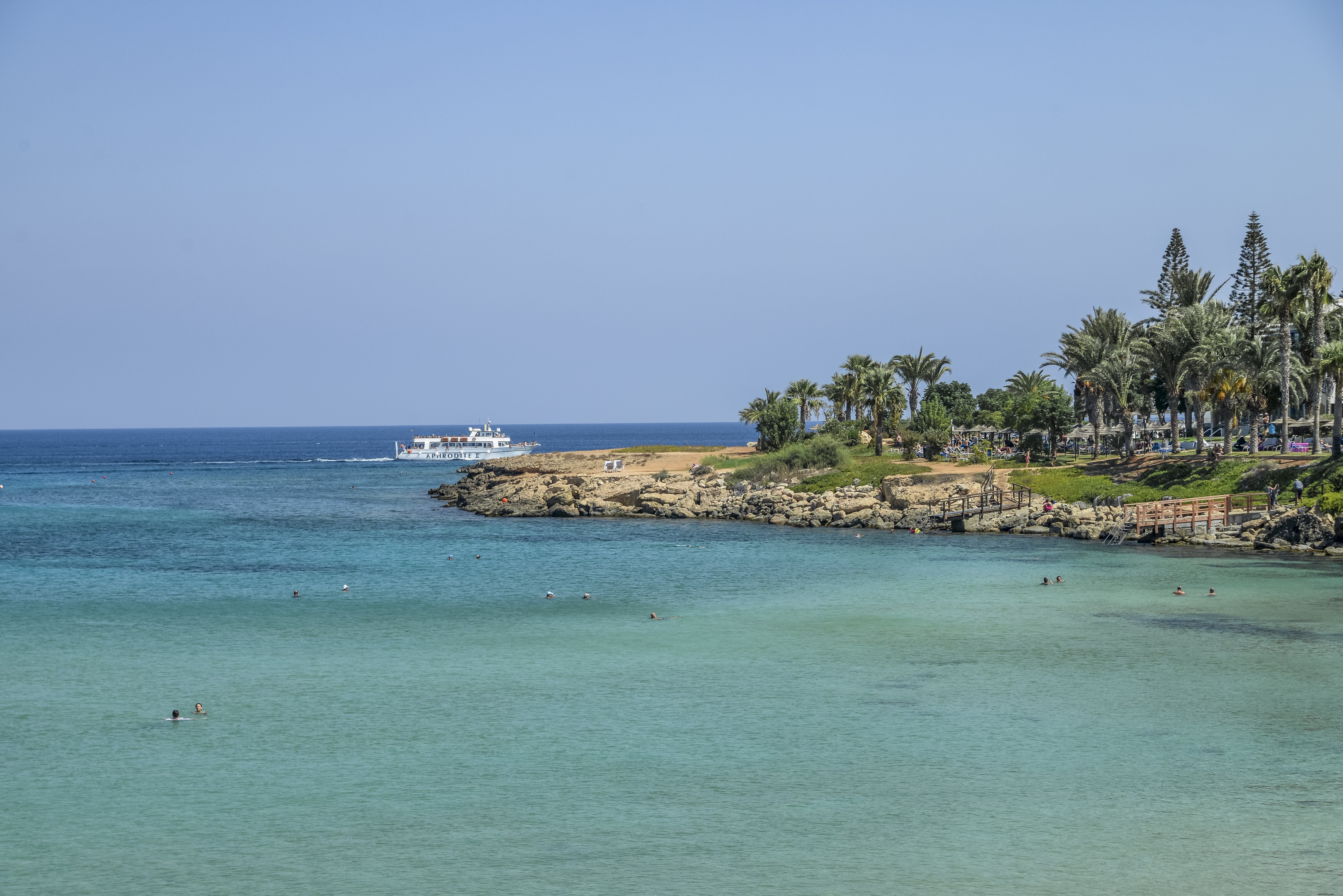 Eau bordée de palmiers et vue d’un rivage rocheux