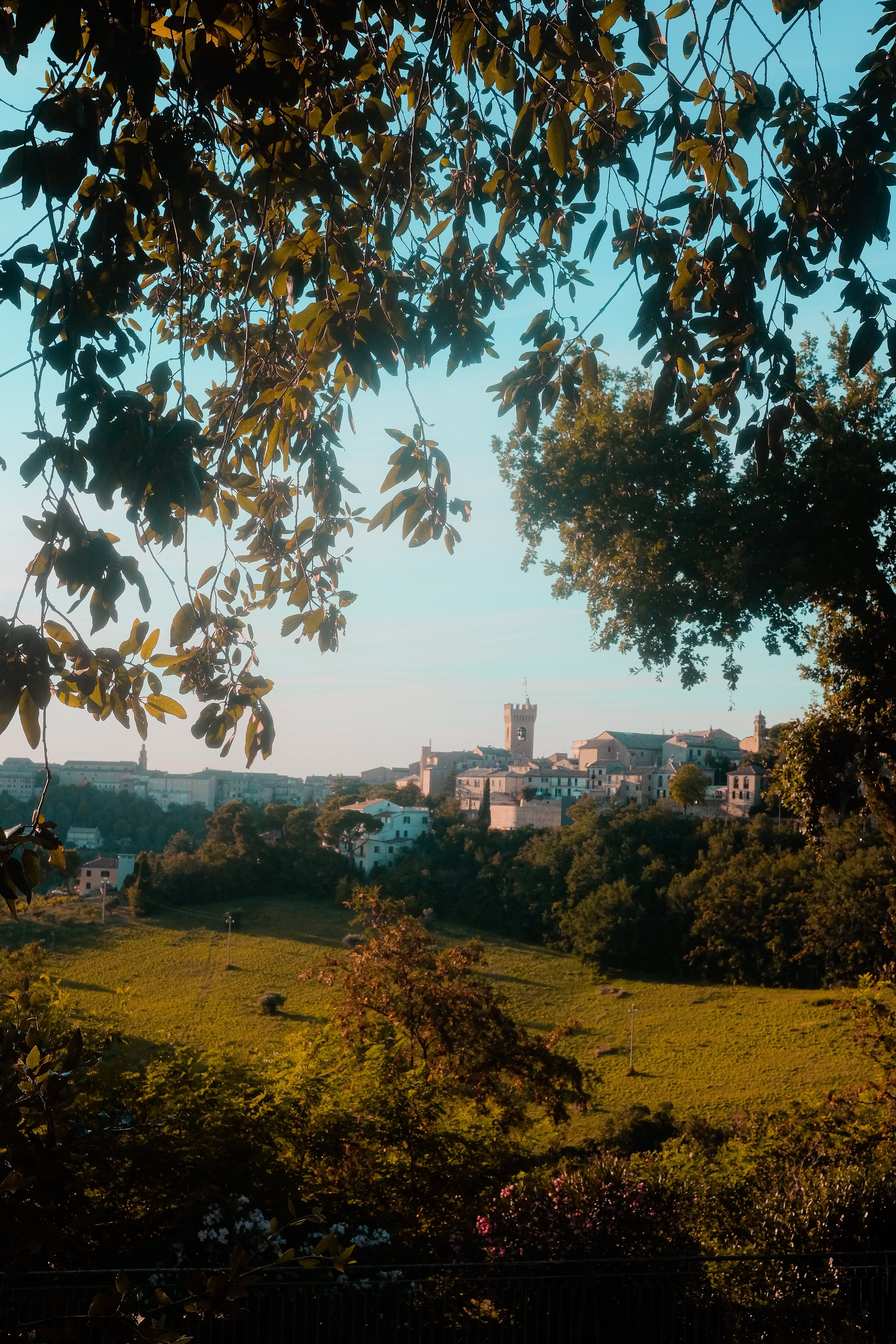 Feuilles vertes encadrant la vue d’un château
