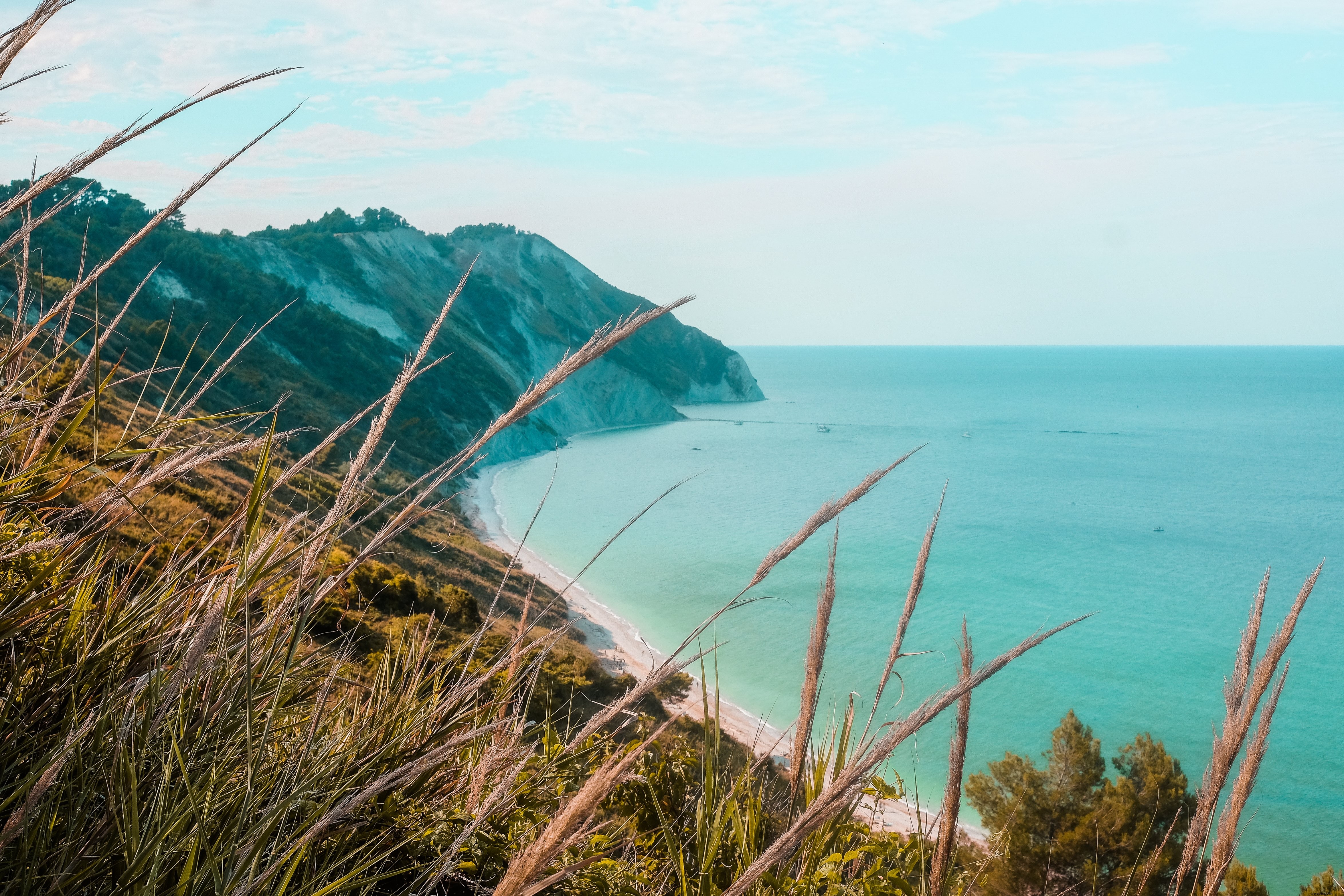 Herbe sauvage sur une plage côtière de l océan – Photo