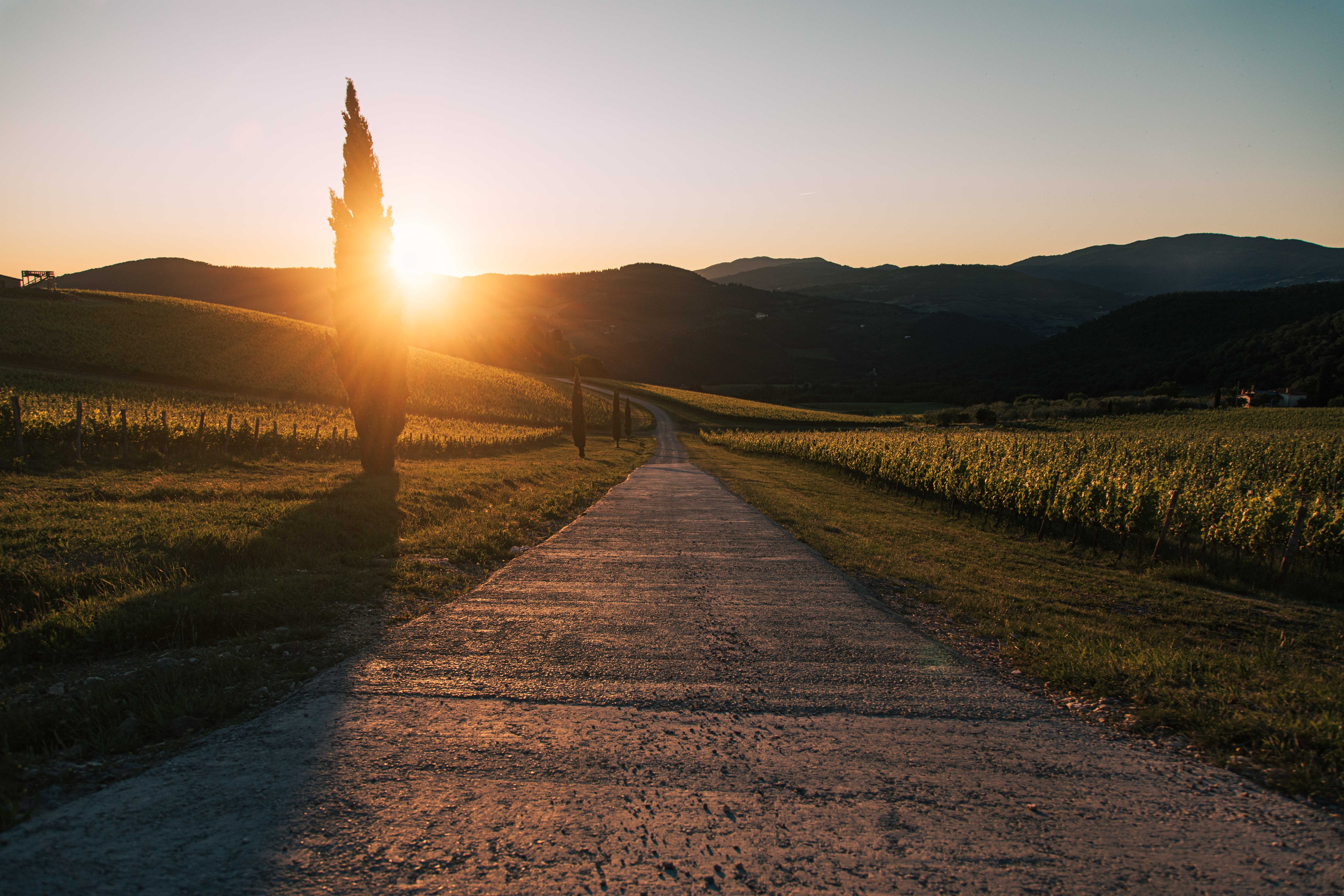 Route à travers les montagnes au coucher du soleil – Photo