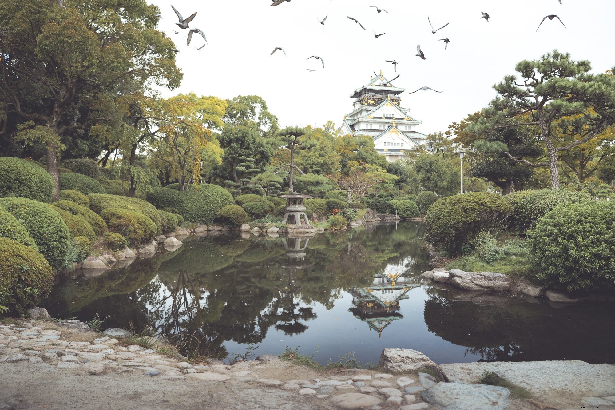 Un étang encadré de pierres et d arbres reflète une grande photo d un bâtiment blanc et doré