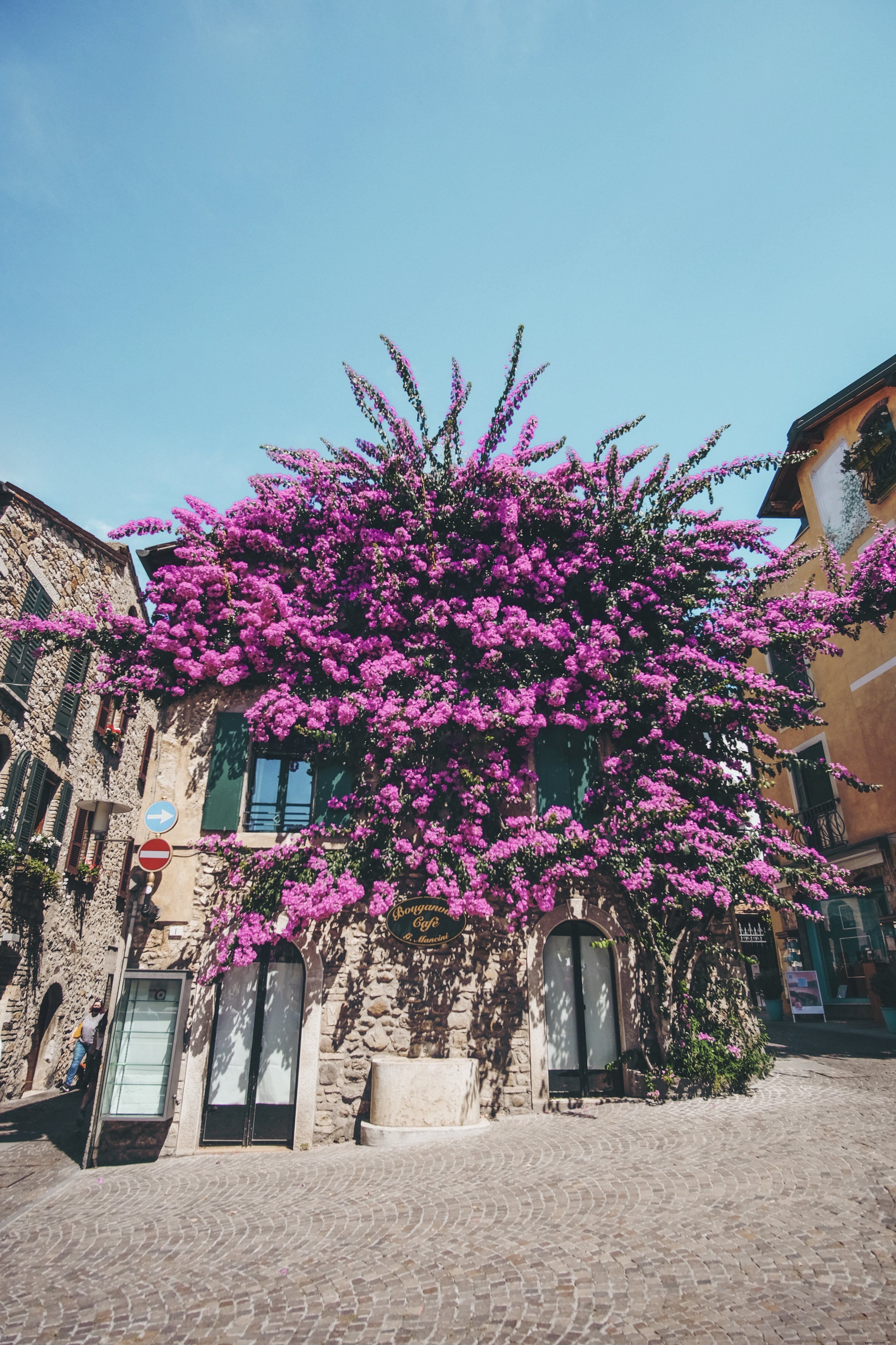 Photo d un bâtiment couvert de bougainvilliers en pleine floraison