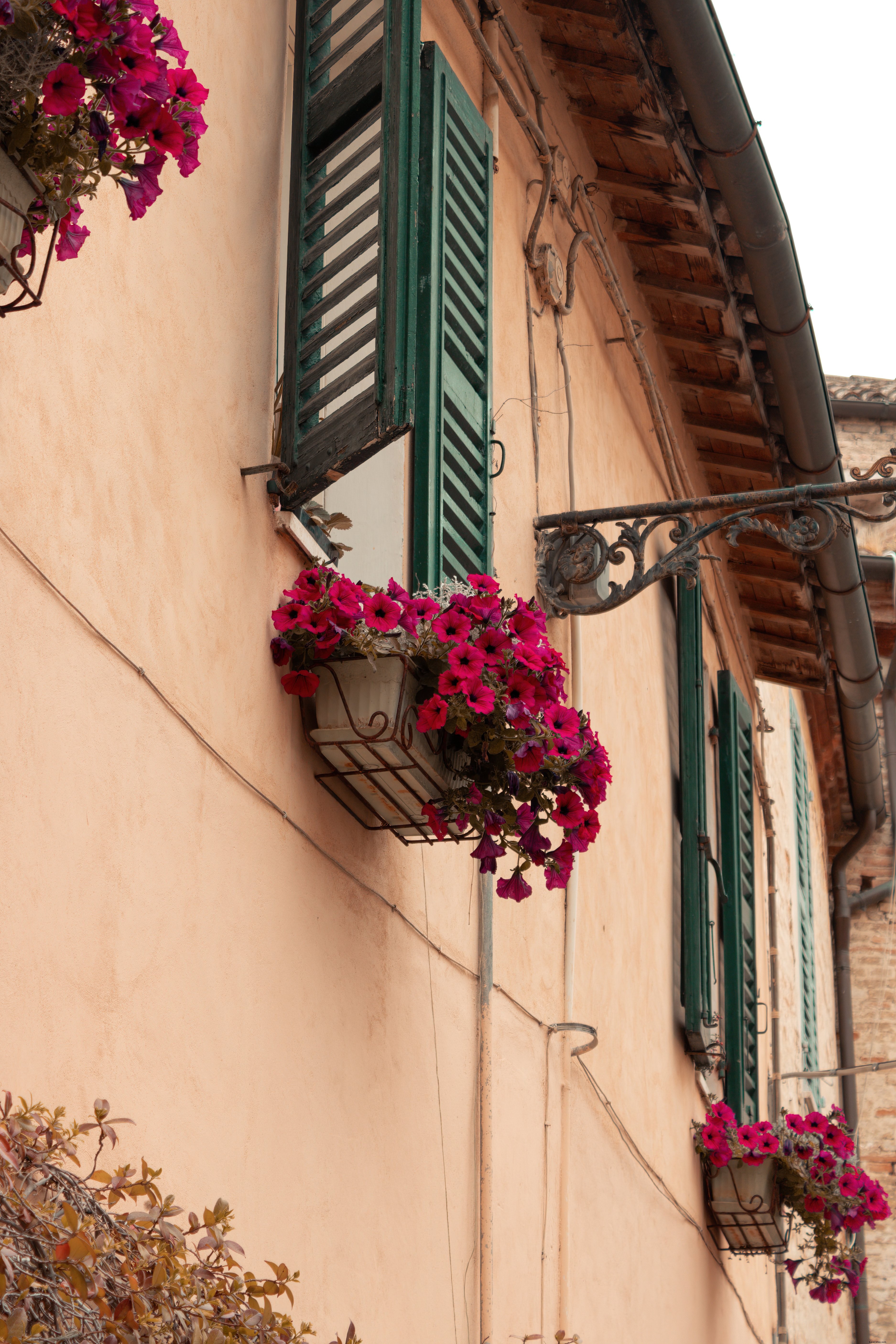 Immeuble décoré de paniers de pétunias violets à chaque fenêtre