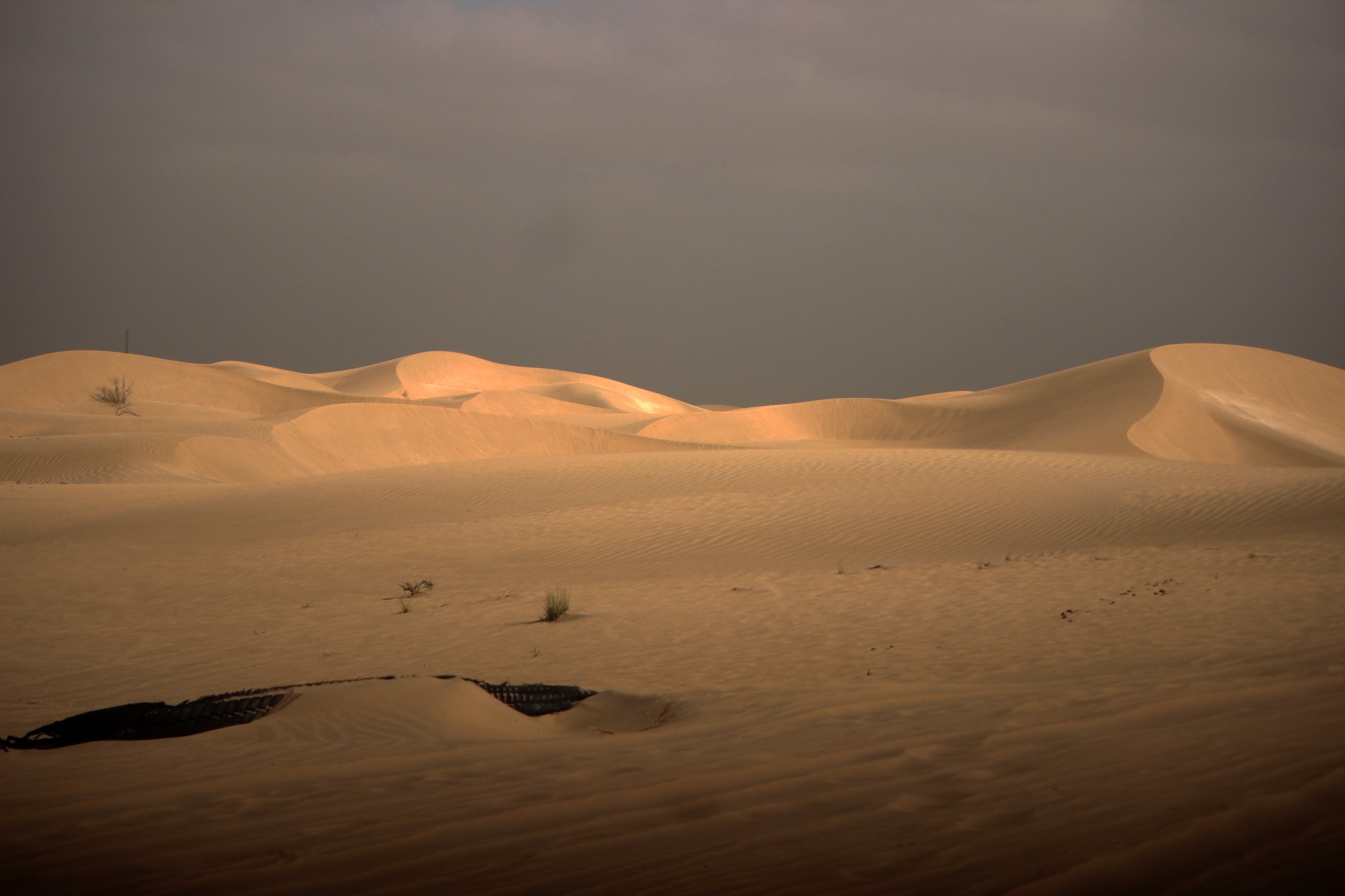 Photo : dunes de sable du désert sous un ciel orageux