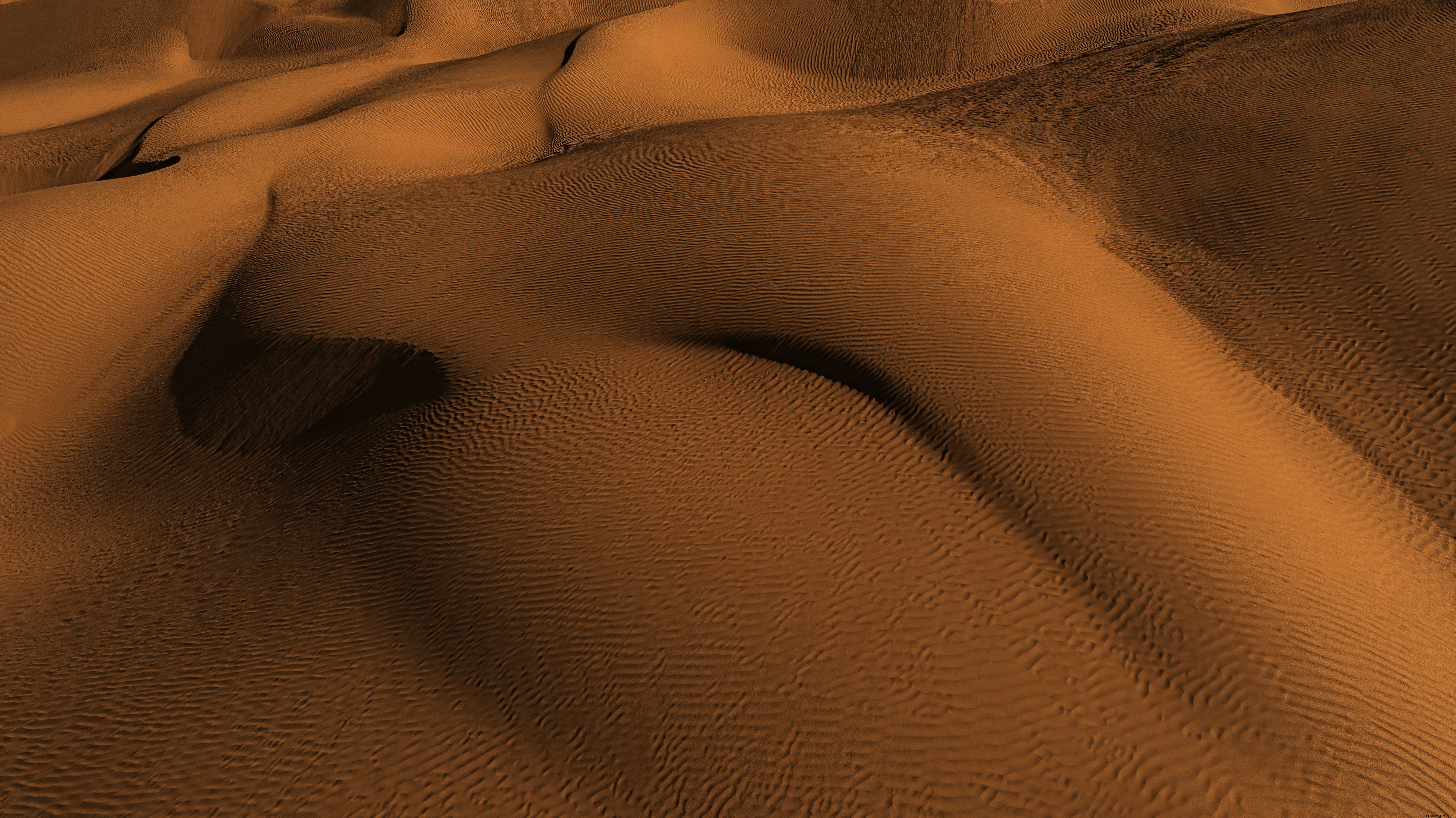 Collines de sable orange éclatant et texture ondulée