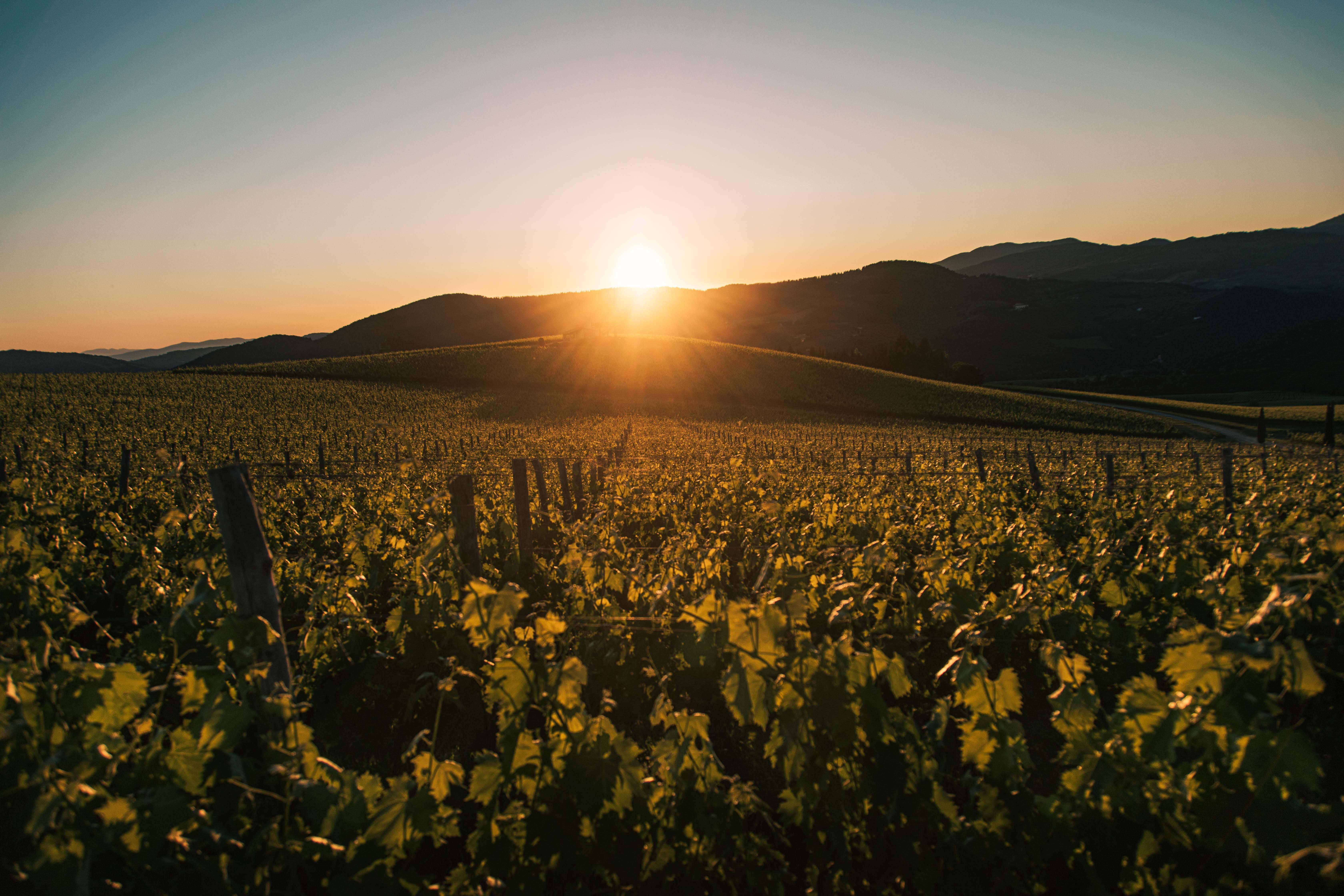 Coucher du soleil derrière les montagnes – Photo