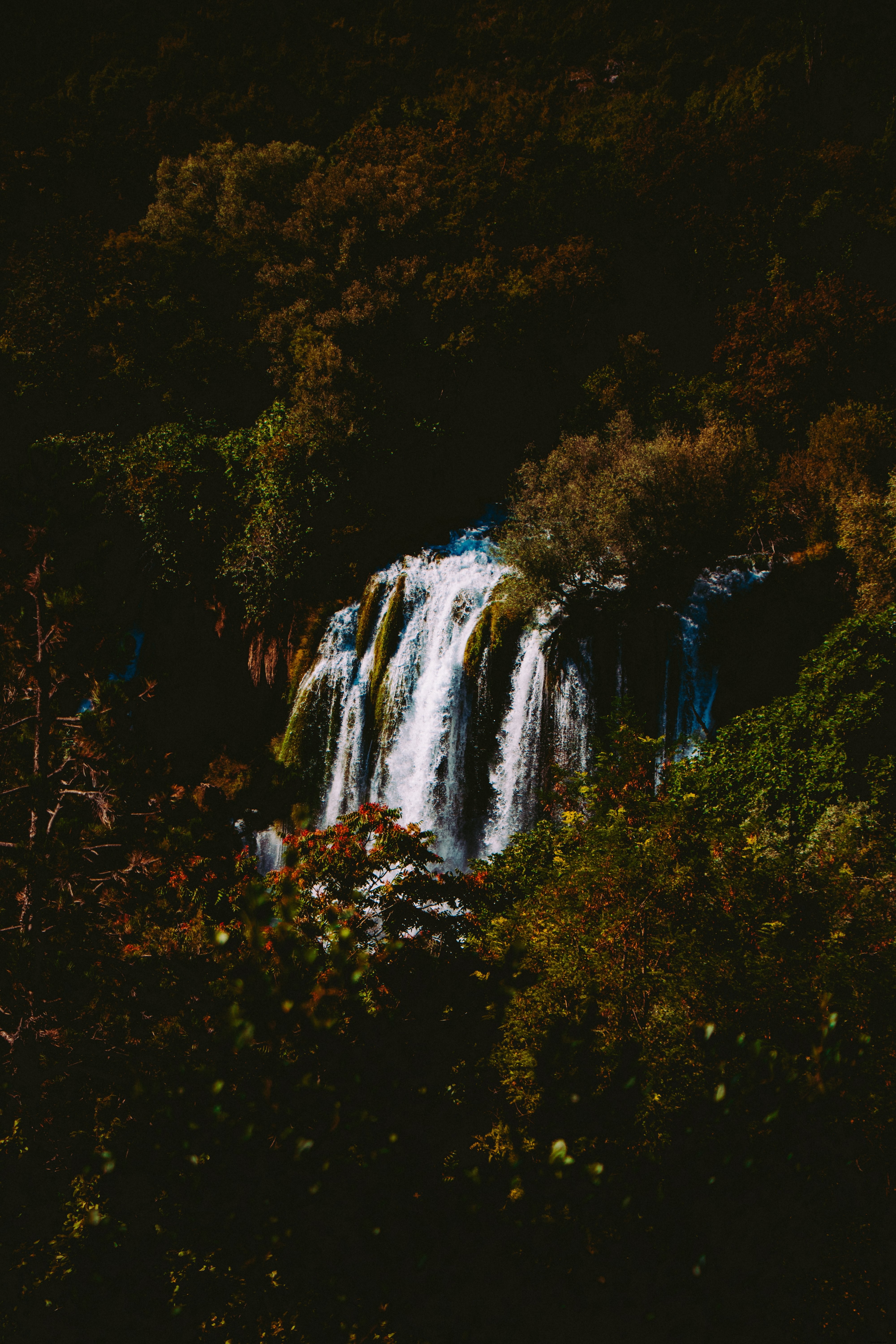 Cascade au cœur de la forêt