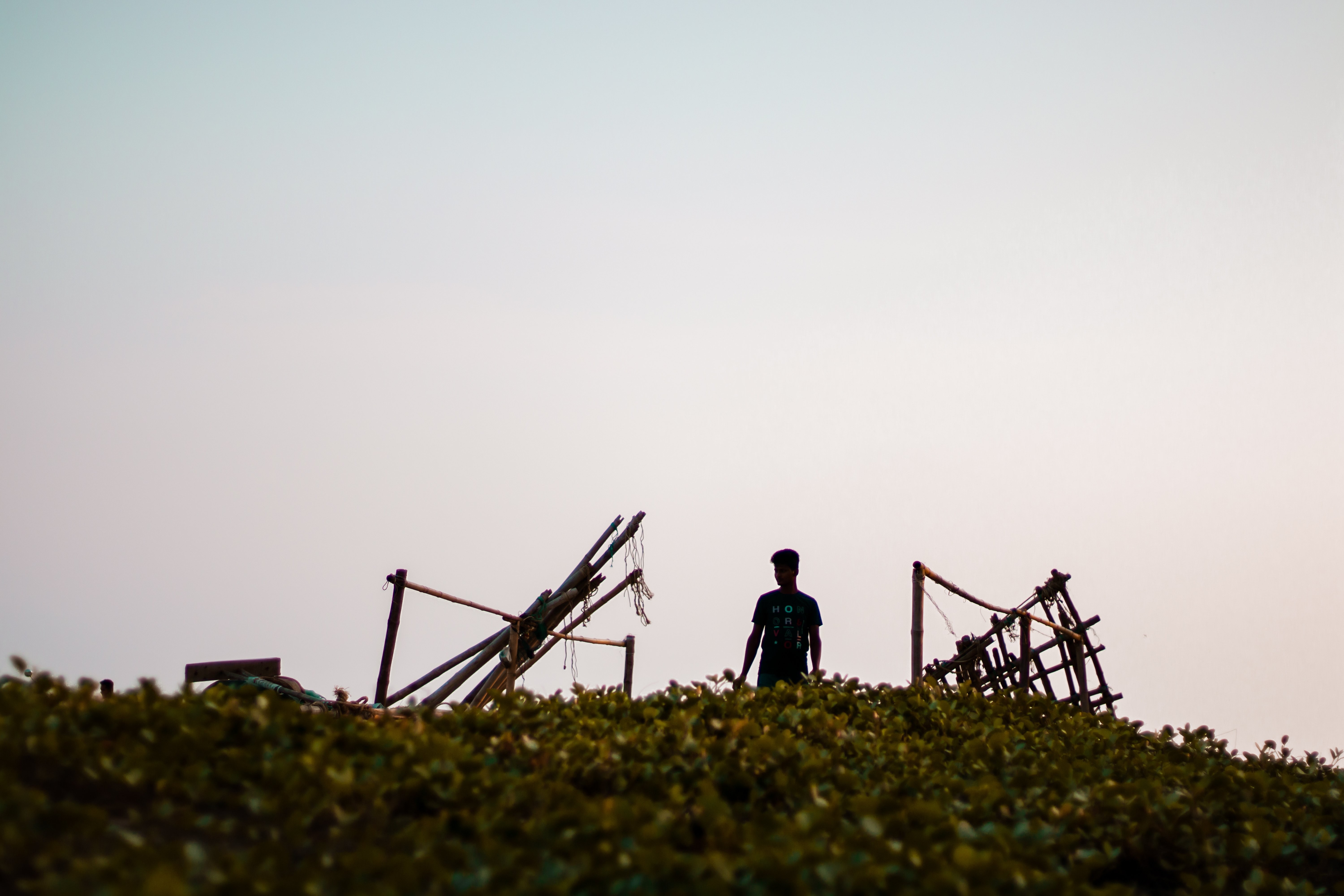 Debout, entouré de parties d une structure en bois – Photo