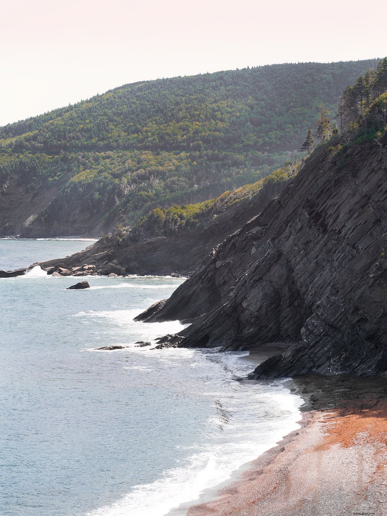 Vagues blanches dessinant la ligne du rivage