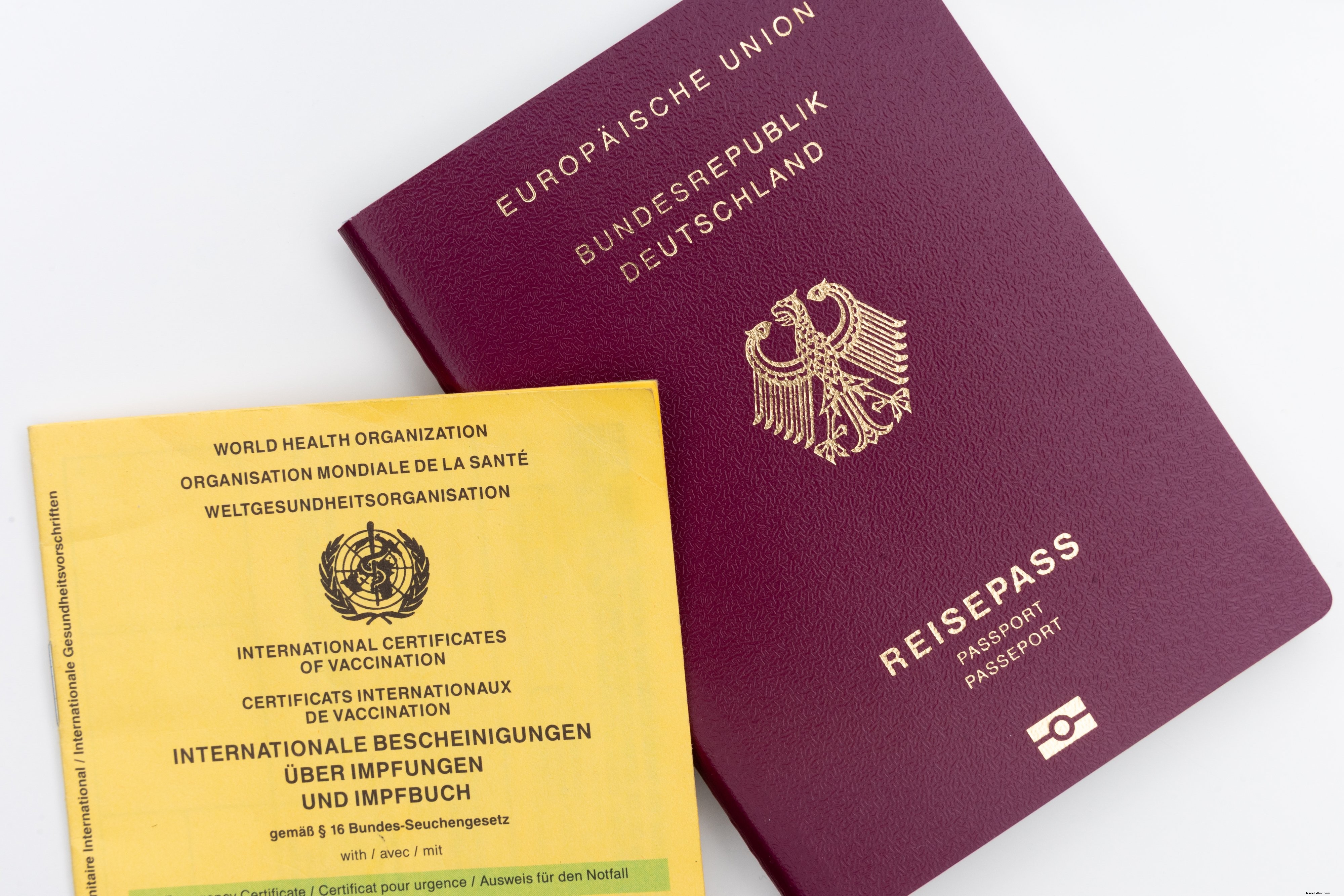 Flatlay d une carte de vaccination et d une photo de passeport