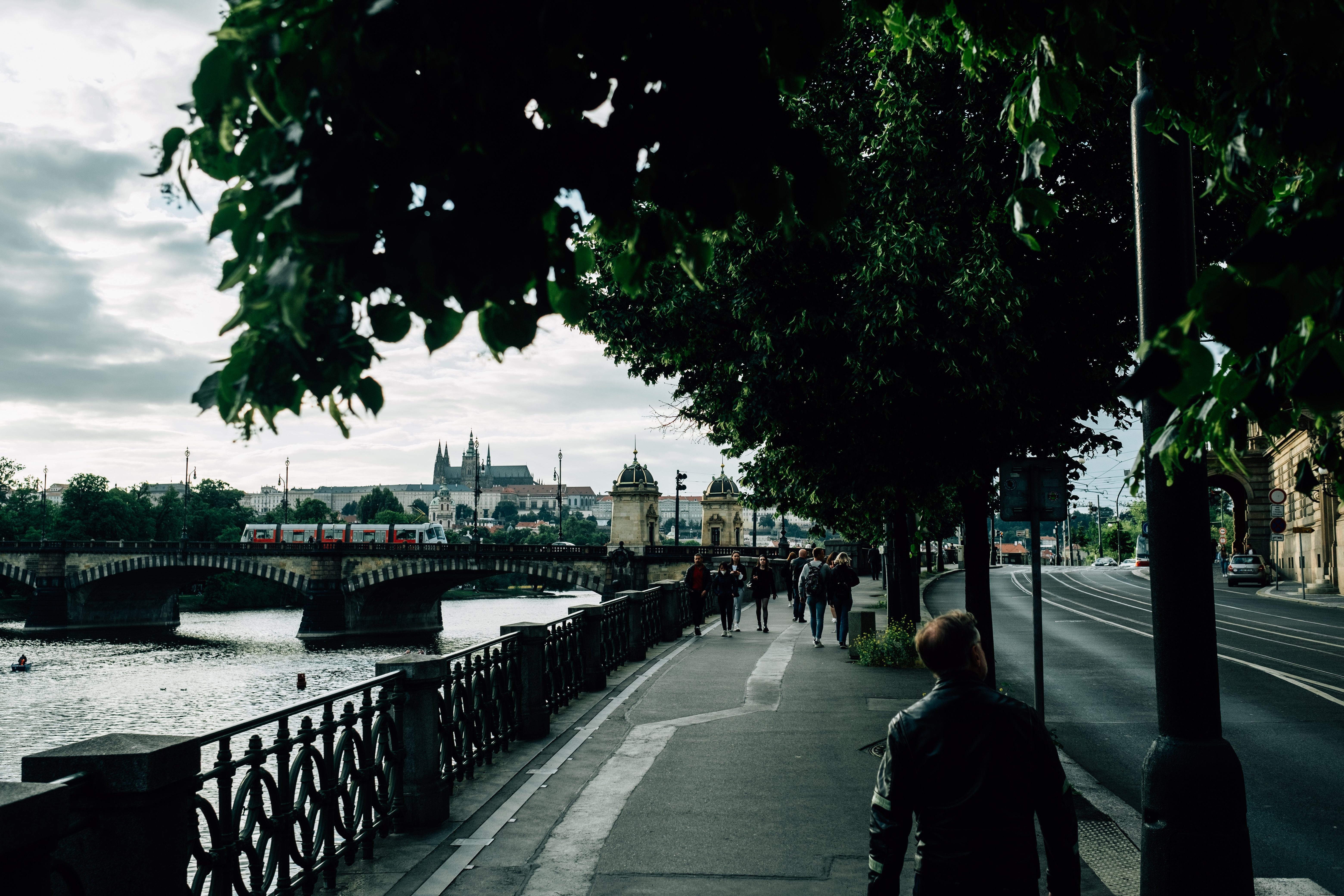 Promenade le long d’un trottoir bordé d’arbres au bord d’une rivière
