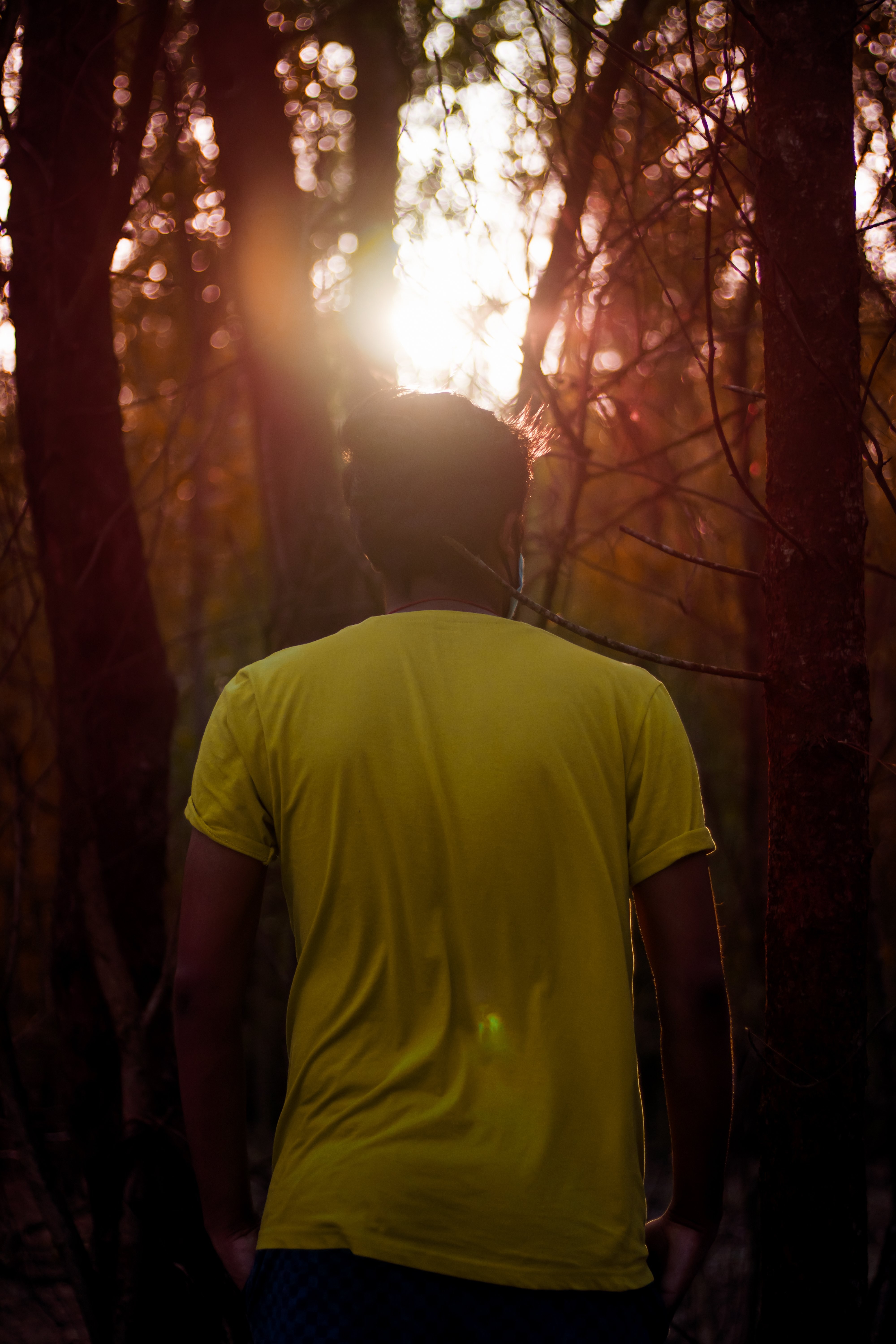 Une personne en chemise jaune s aventure dans une forêt sombre