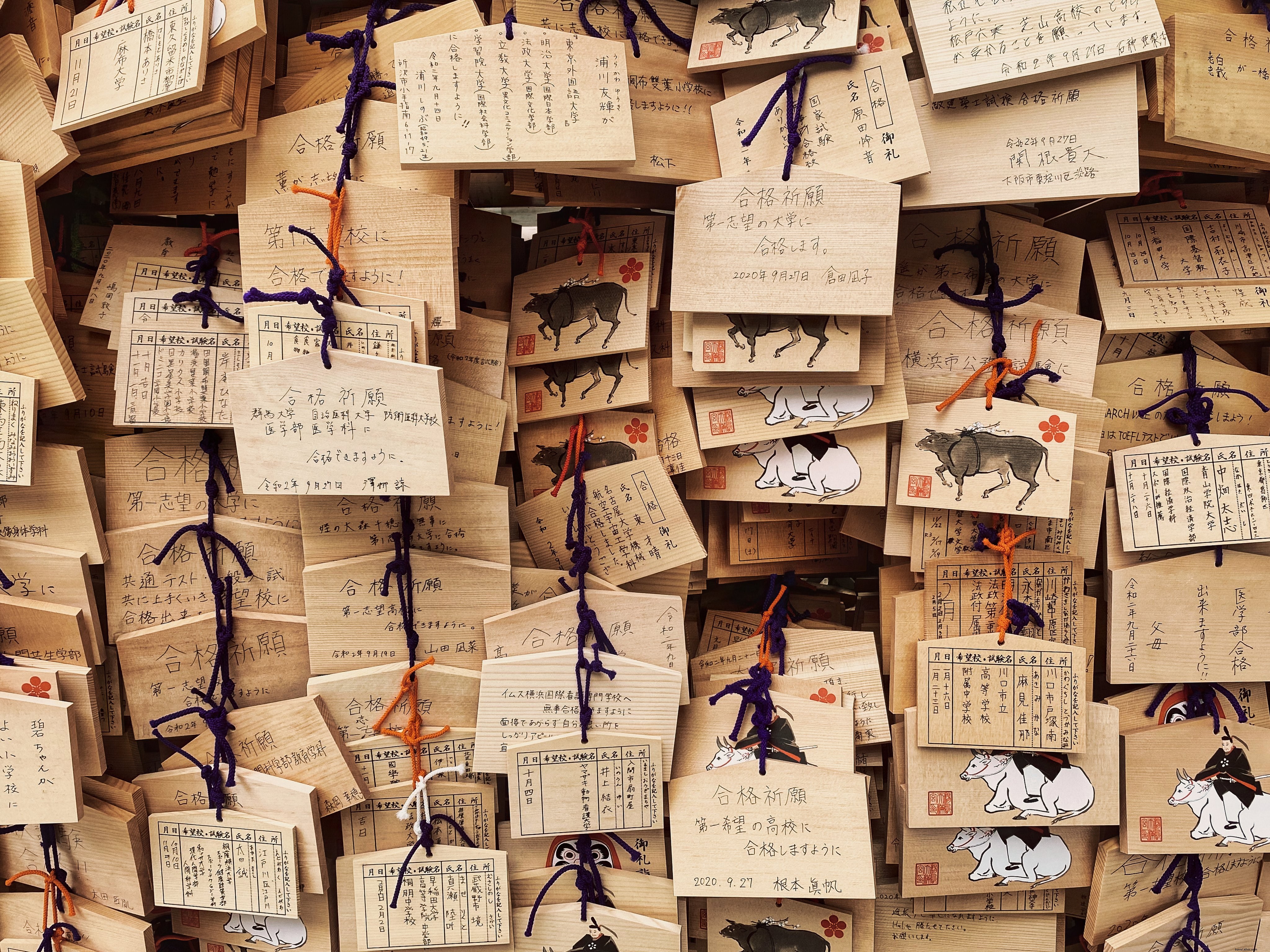 Petits panneaux en bois avec texte manuscrit et illustrations