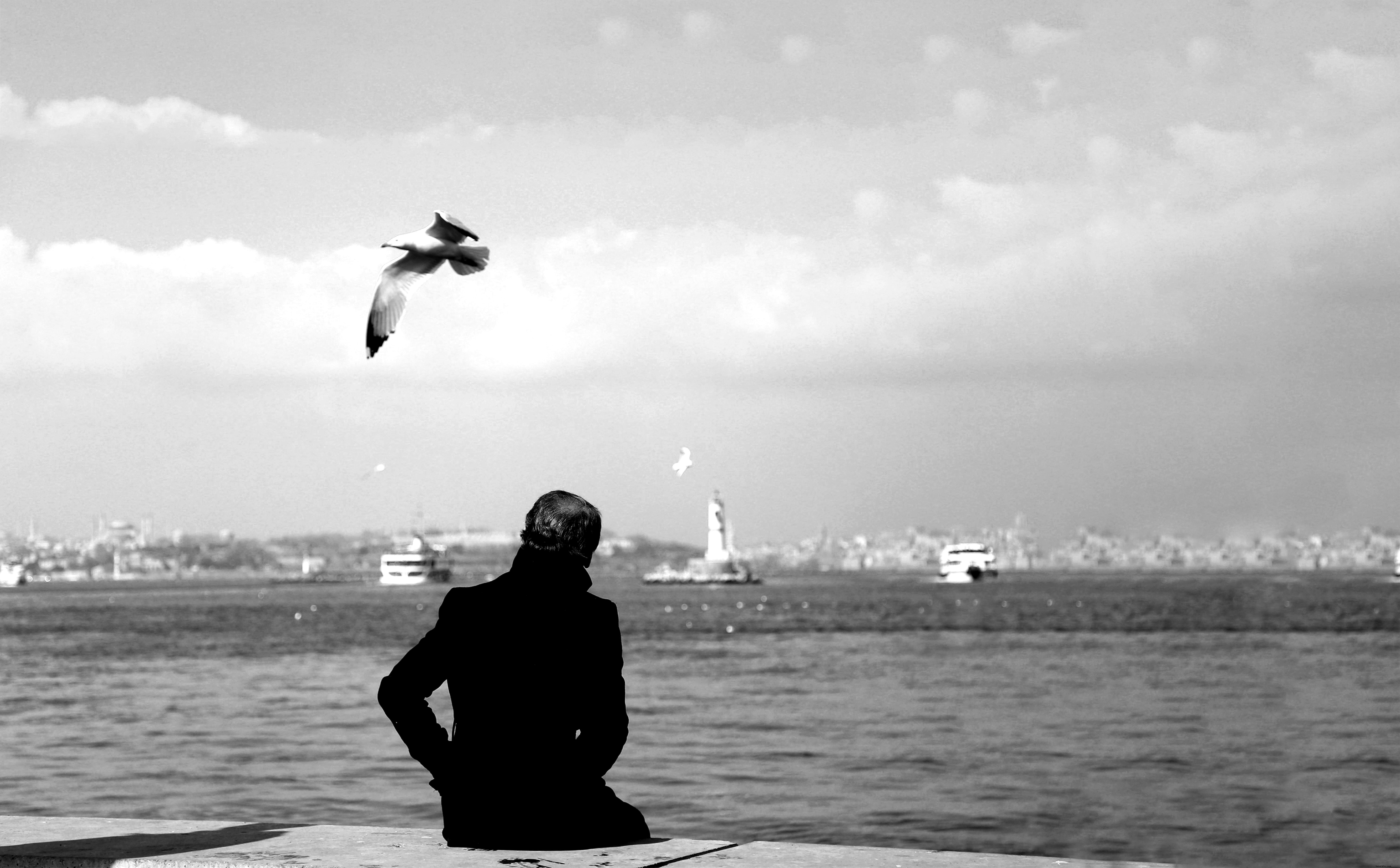 Silhouette assise sur le rivage, oiseaux en vol – Photo aérienne