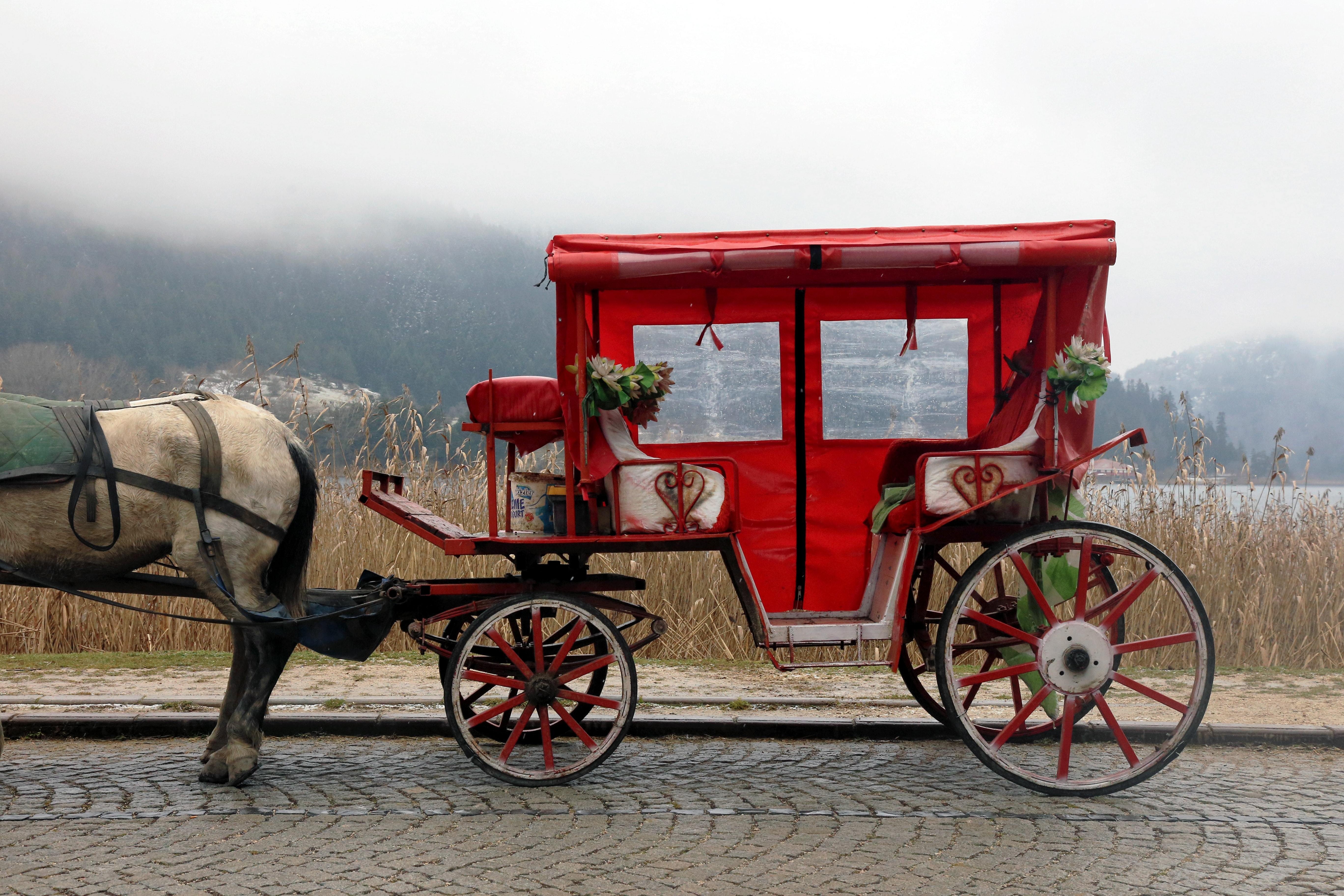 Photo d une calèche rouge et blanche avec son cheval attaché