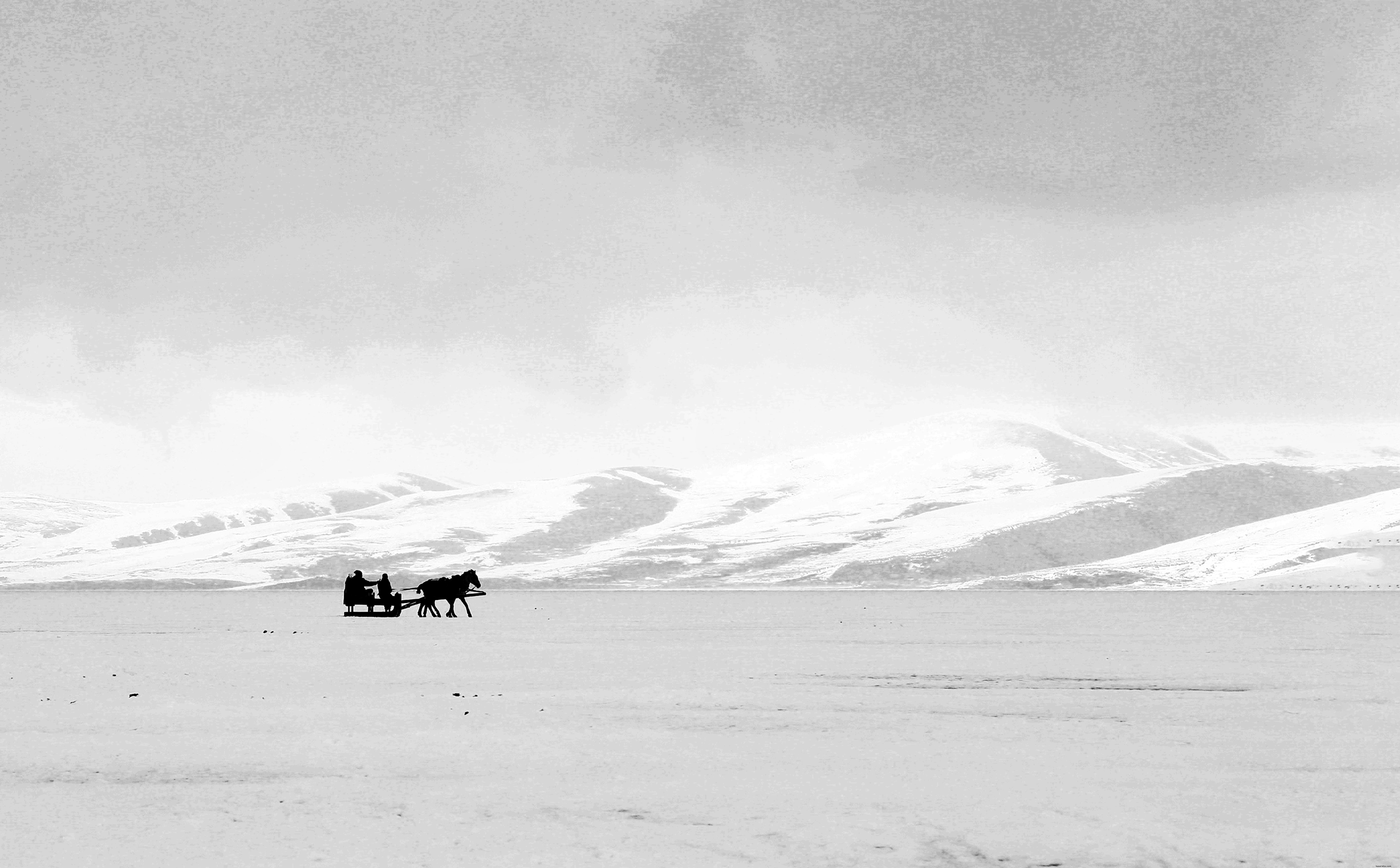 Photo en noir et blanc de collines enneigées et d un traîneau tiré par des chevaux