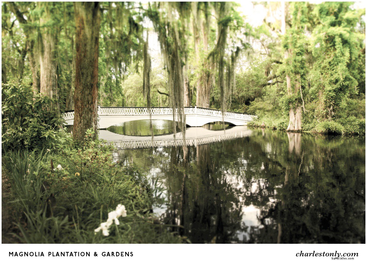 14 sites incontournables pour explorer la culture Gullah à Charleston