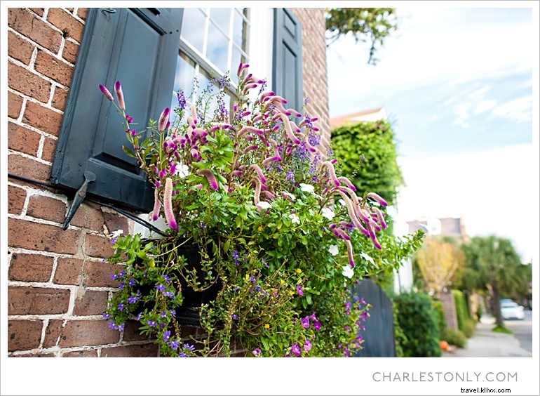 Le printemps éclate à Charleston