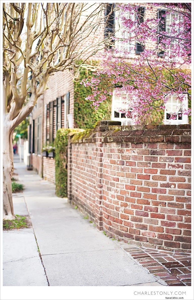 Le printemps éclate à Charleston