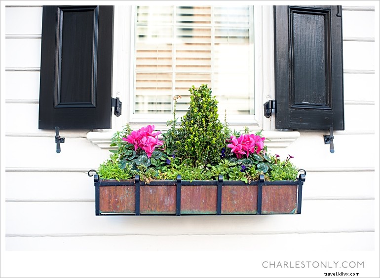 Le printemps éclate à Charleston