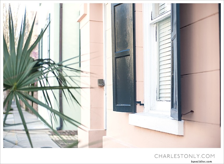 Le printemps éclate à Charleston