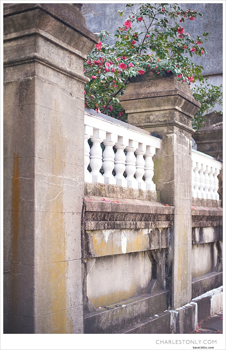 Le printemps éclate à Charleston