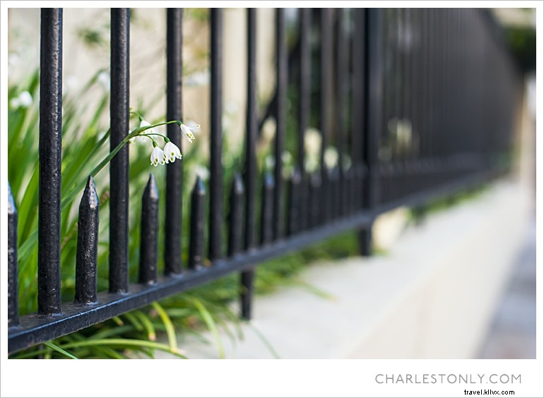 Le printemps éclate à Charleston