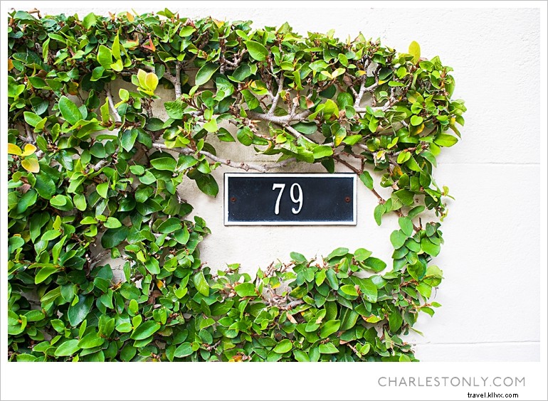 Le printemps éclate à Charleston