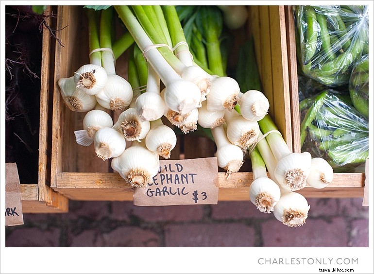 Festivals, agriculteurs et divertissement !