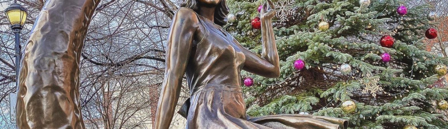 Arbre de Noël de Salem au parc Lappin