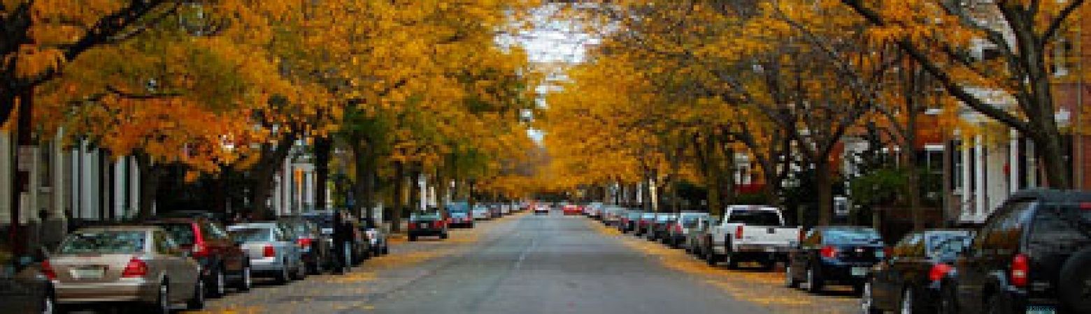 Le quartier historique McIntire
