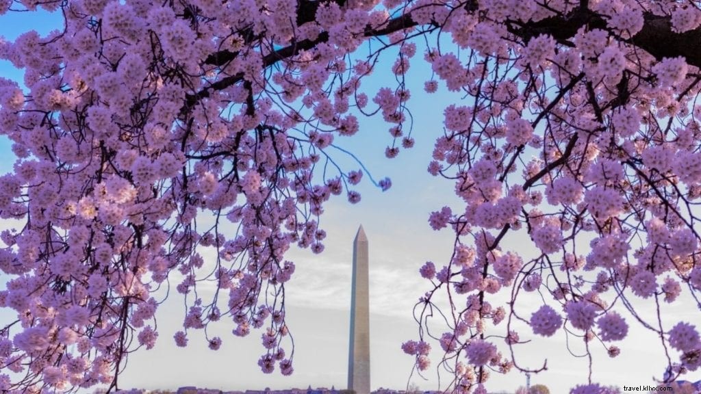 Top 20 des destinations familiales aux États-Unis