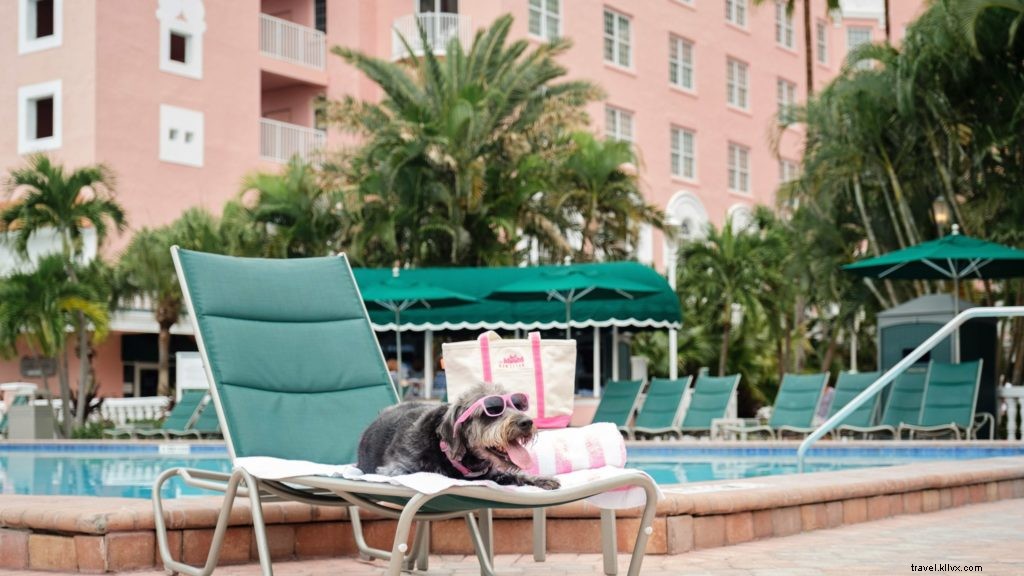 Les 10 meilleurs hôtels et complexes acceptant les animaux de compagnie aux États-Unis