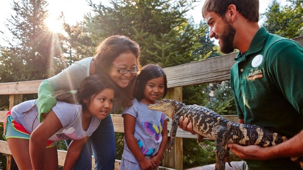 9 idées fraîches de vacances d été pour les familles