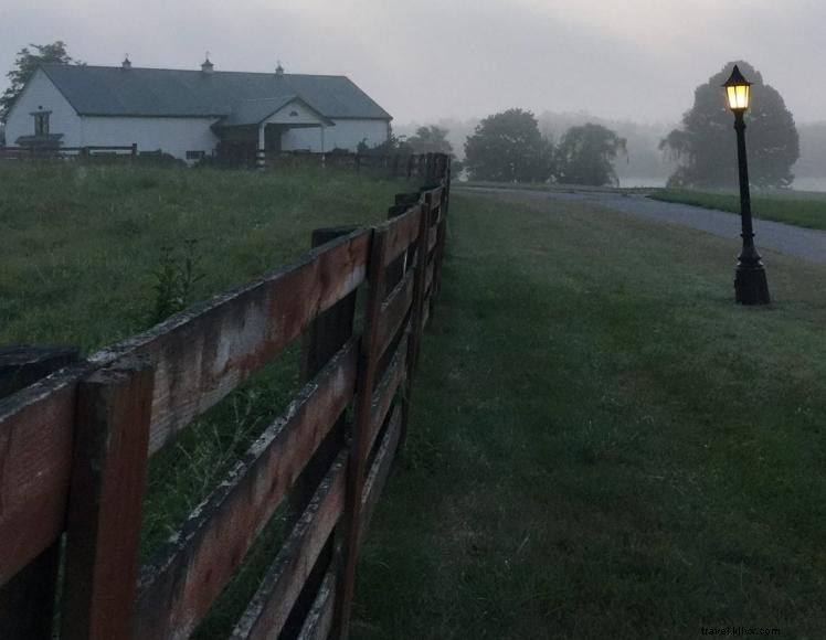 Queenslake Farm – B&B et pension pour chevaux