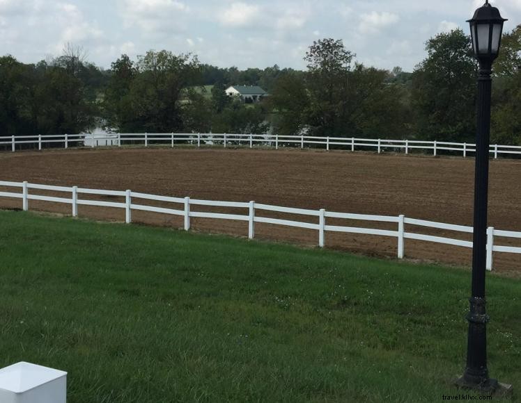 Queenslake Farm – B&B et pension pour chevaux