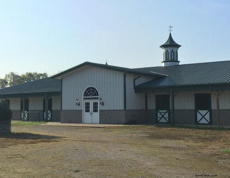 Queenslake Farm – B&B et pension pour chevaux