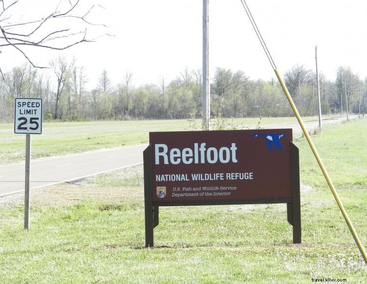 Aire publique de faune du lac Reelfoot