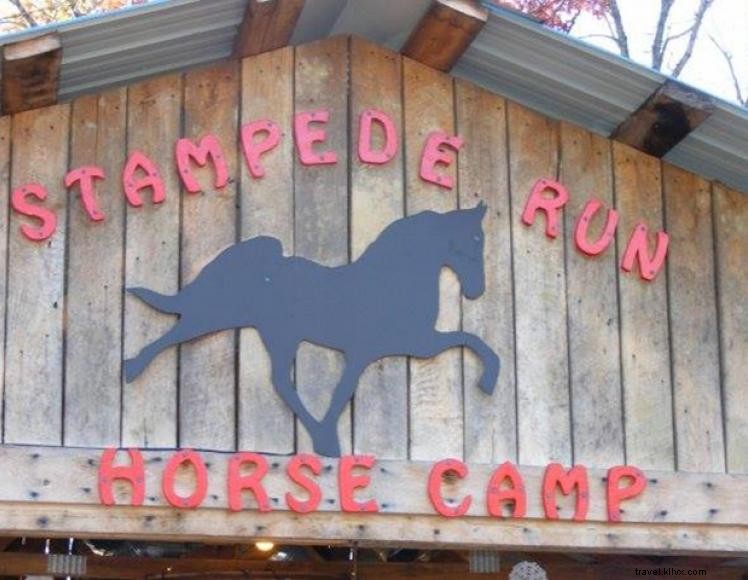Camp équestre Stampede Run