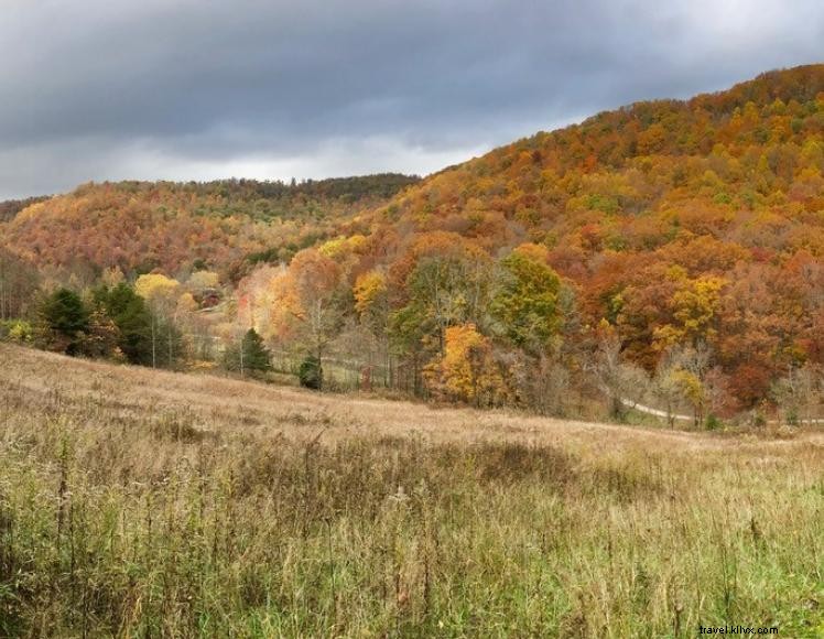 Snug Hollow Farm – Chambres d hôtes