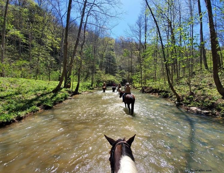 Pourvoirie Triple R Ranch