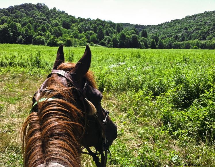Pourvoirie Triple R Ranch