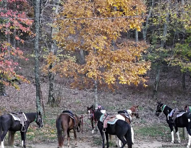 Pourvoirie Triple R Ranch